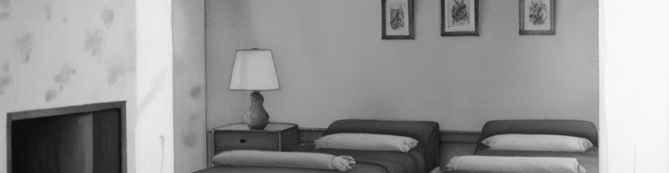 Casino pet-friendly accommodation - Localista