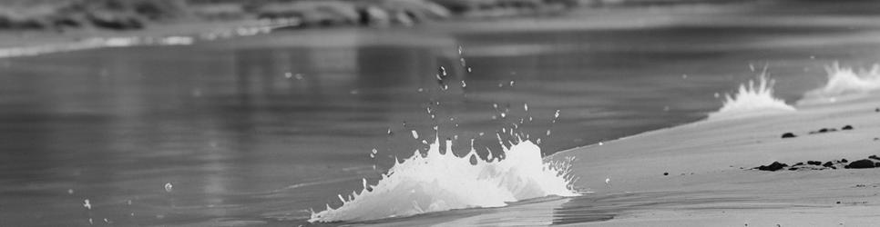 Barcaldine fishing - Localista