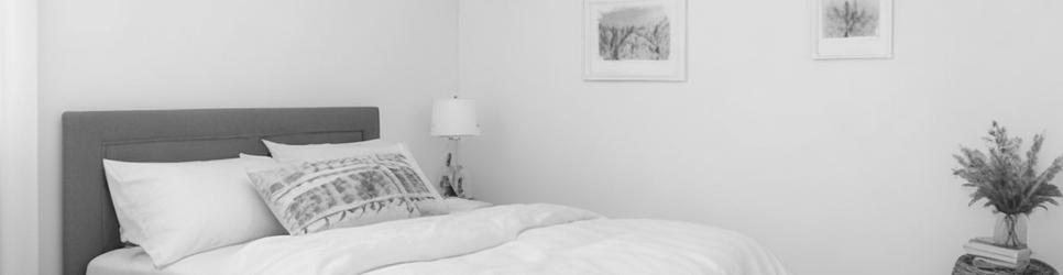 Millers Point pet-friendly accommodation - Localista