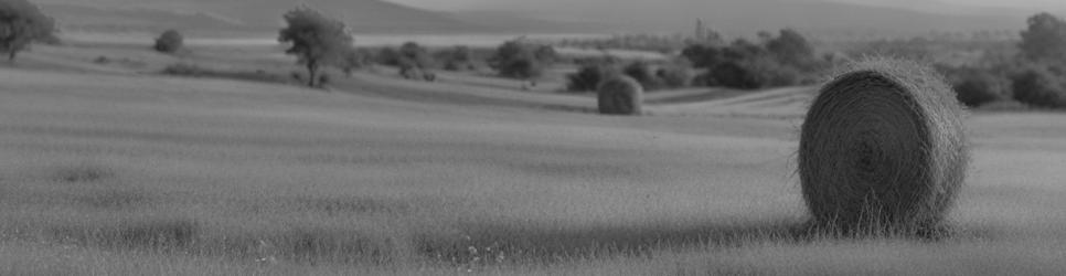 Birdsville - Localista