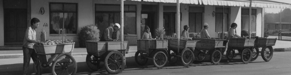 Birdsville tours - Localista