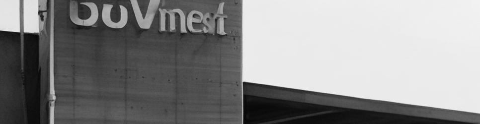 Pioneer pet-friendly accommodation - Localista