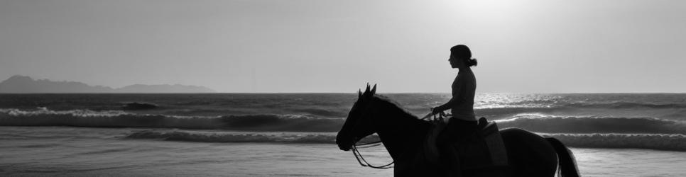 Shoalhaven Region horseback riding - Localista