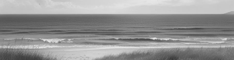 Culburra Beach natural attractions - Localista