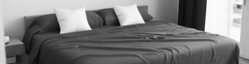 Te Aroha pet-friendly accommodation - Localista