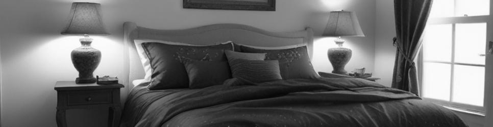 Kaikoura bed and breakfasts - Localista