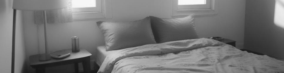 Te Hapara pet-friendly accommodation - Localista