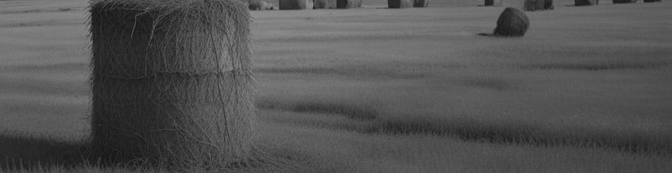 Nambung scenic lookouts - Localista