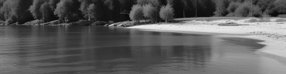 New South Wales wetlands - Localista