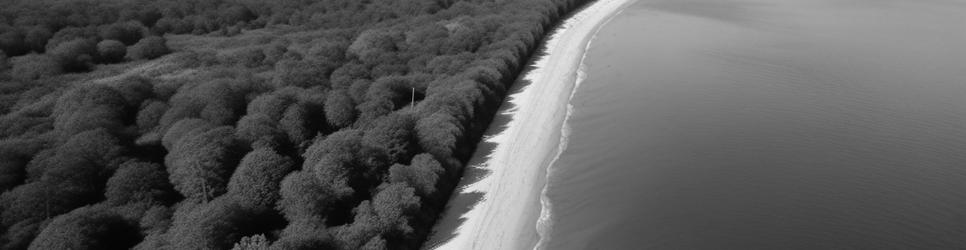 Shoalhaven Region swimming holes - Localista