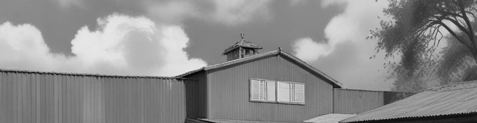 Gilgandra agricultural museums - Localista