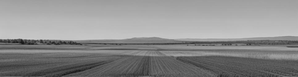 Bourke picnic sites - Localista