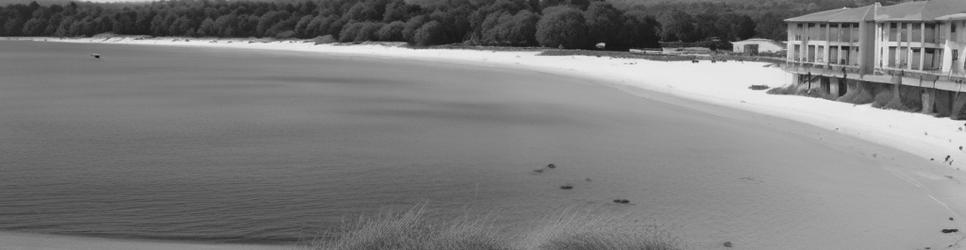 Sydney shark nets - Localista