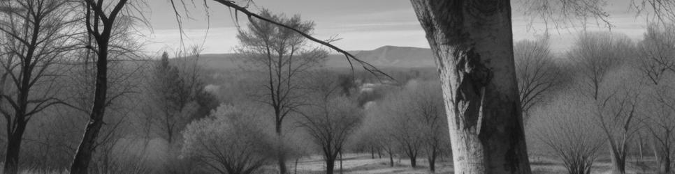 Glen Alice national parks - Localista