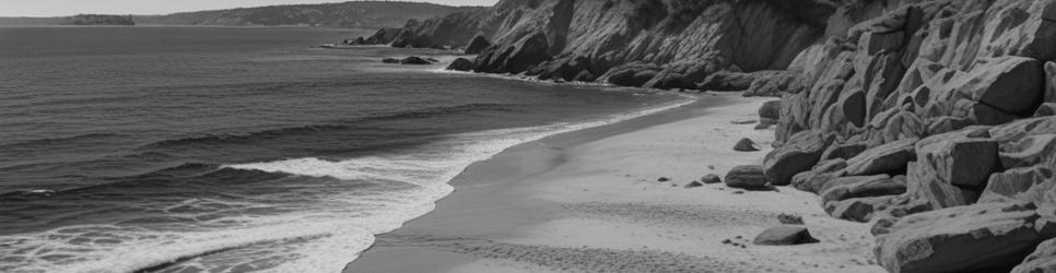 Bouddi national parks - Localista