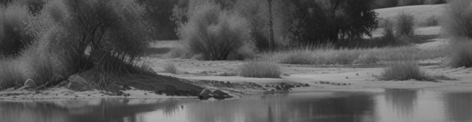 West Wyalong wetlands - Localista