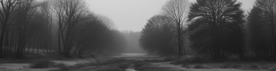 Camp Creek national parks - Localista