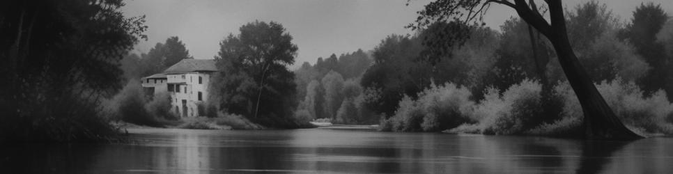 Tumut wetlands - Localista