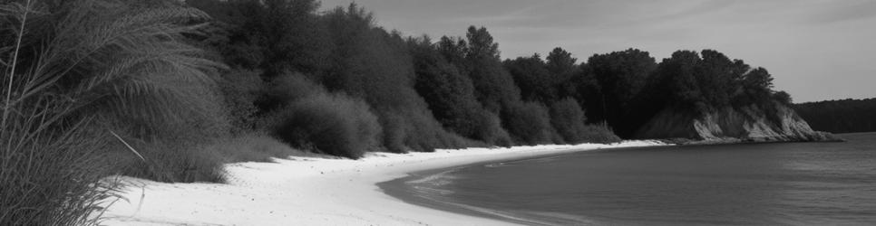 Huskisson beaches - Localista