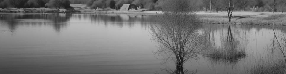 Lake Conjola picnic sites - Localista