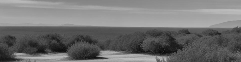 Bundeena hiking tracks - Localista