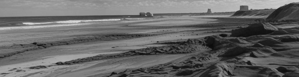 Kurnell picnic sites - Localista