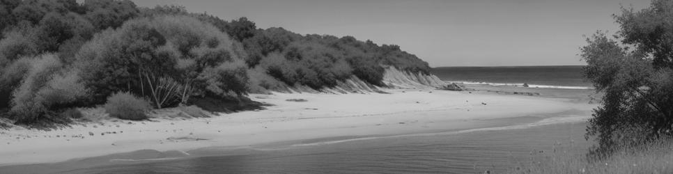 Waterfall beaches - Localista