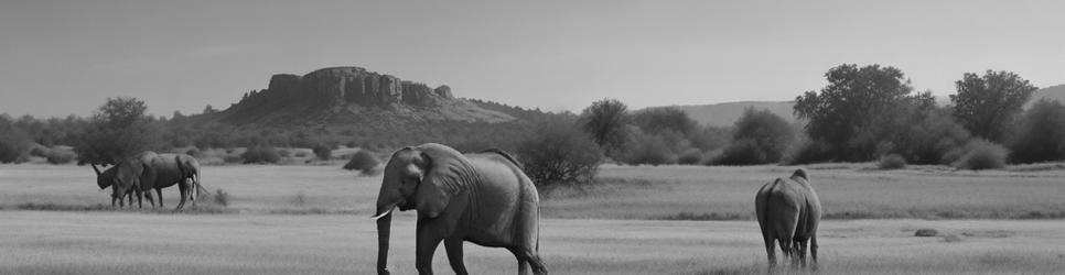 Bulloo national parks - Localista