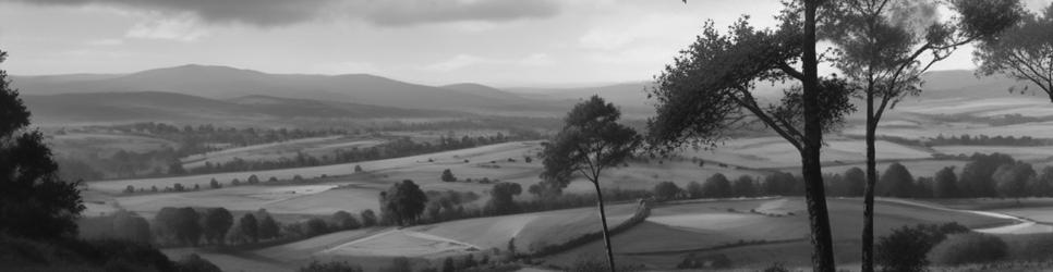 Atherton Tableland state forests - Localista