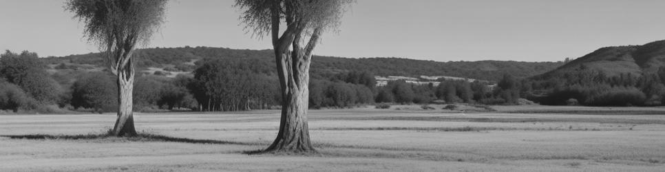 Barcaldine wetlands - Localista