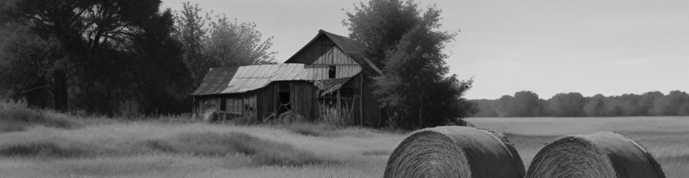 Wacol agricultural museums - Localista