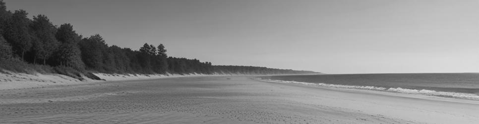 Yeppoon-town beaches - Localista