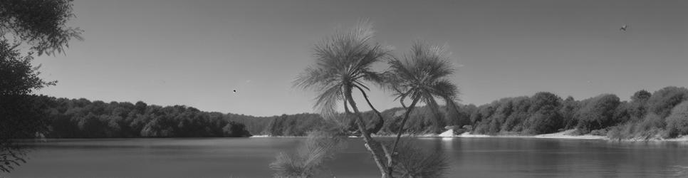 Fraser Island beaches - Localista