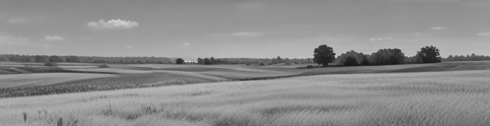 St Lawrence wetlands - Localista