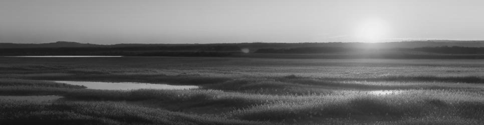 Birdsville birdwatching sites - Localista