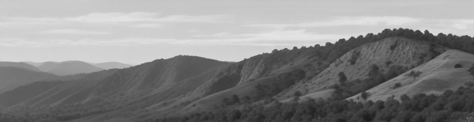 Bunya Mountains scenic lookouts - Localista