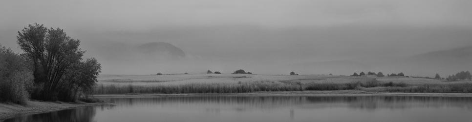 South Australia wetlands - Localista