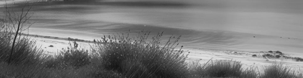 Eyre Peninsula beaches - Localista