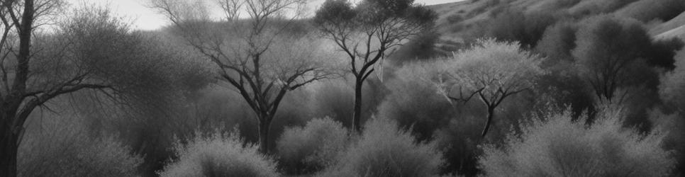 Loxton Waikerie wetlands - Localista