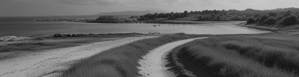 King Island horse trails - Localista