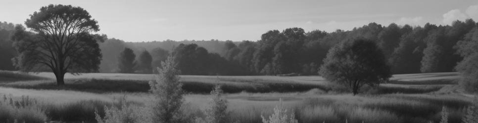 Shearwater swimming holes - Localista