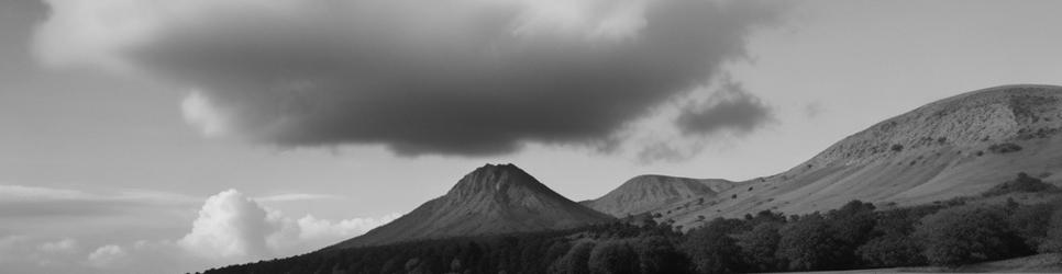 Derwent Bridge national parks - Localista