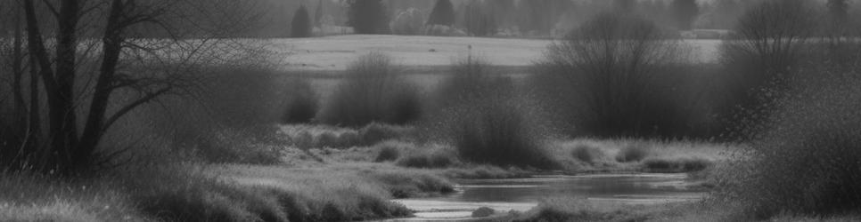 Shepparton botanical gardens - Localista