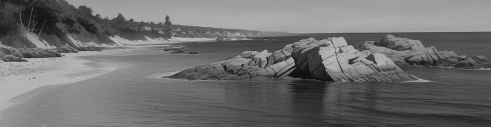 Flinders Island fishing - Localista