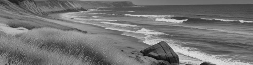 Sandringham beaches - Localista