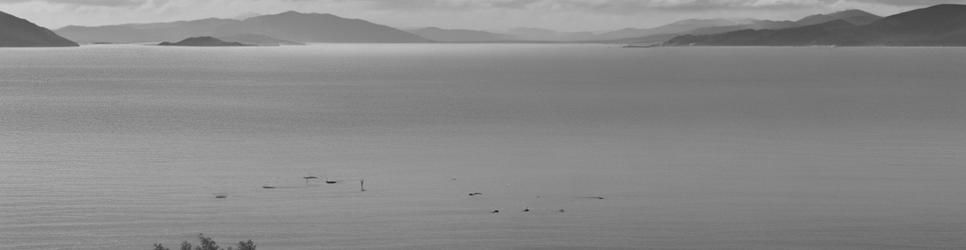 The Coromandel beaches - Localista