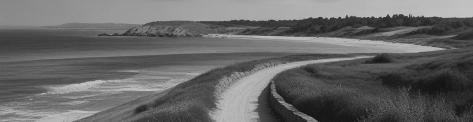 King Island horseback riding - Localista