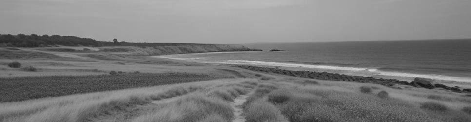 King Island museums - Localista