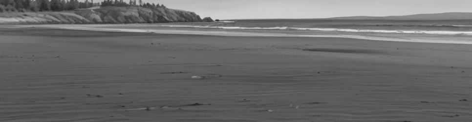 Ohakea beaches - Localista