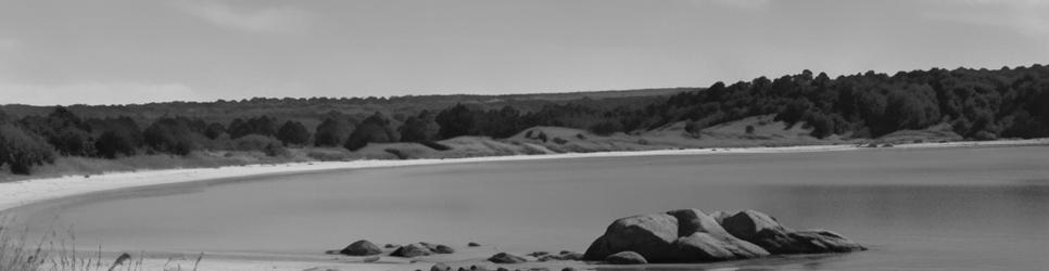 Kaitaia beaches - Localista